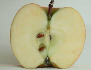 Apfel-innen-01