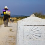 Jakobsweg Symbol